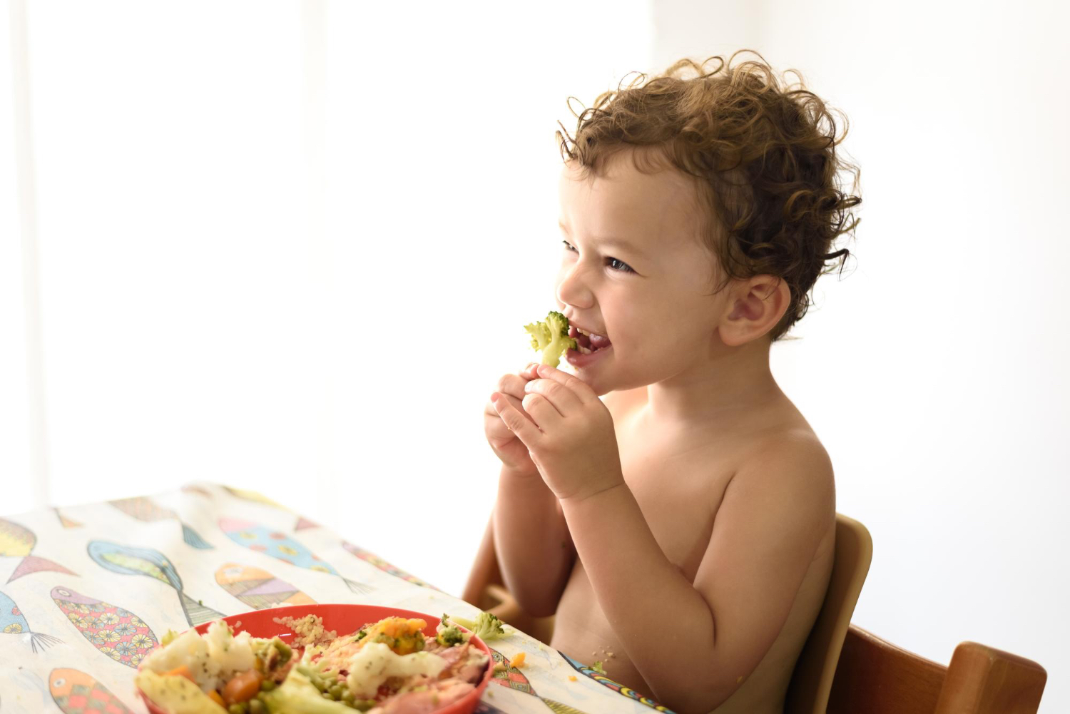 Toddler sitting a dinner table setting, eating a piece of broccoli, smiling and laughing. 